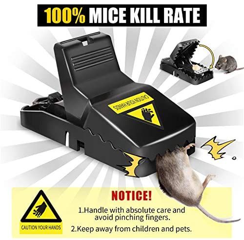 "Y.M Traders Heavy Duty Mouse Trap – Reusable, Effective, Fast Kill"